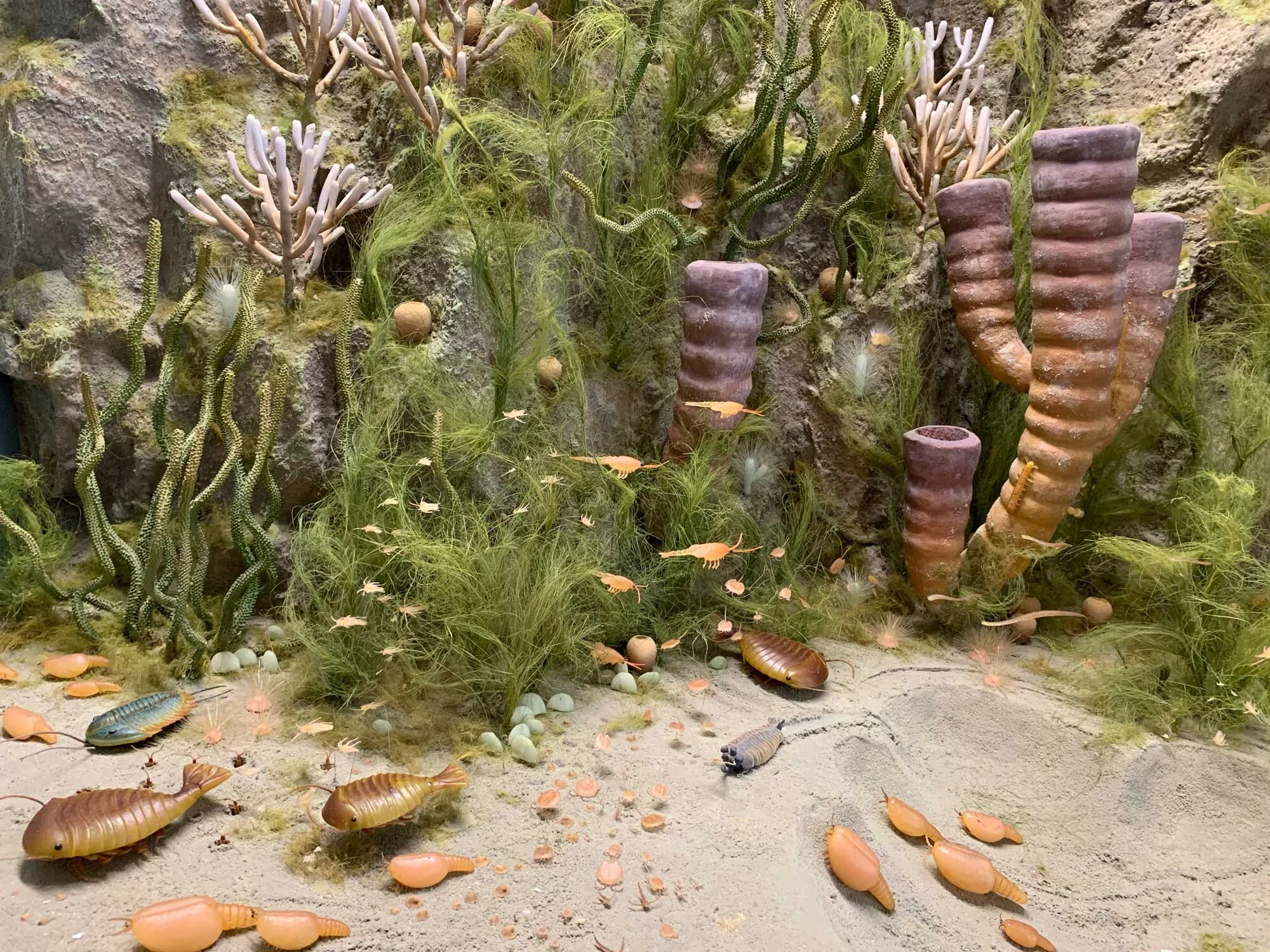 Vanished Worlds The Smithsonian Fossil Dioramas at PRI