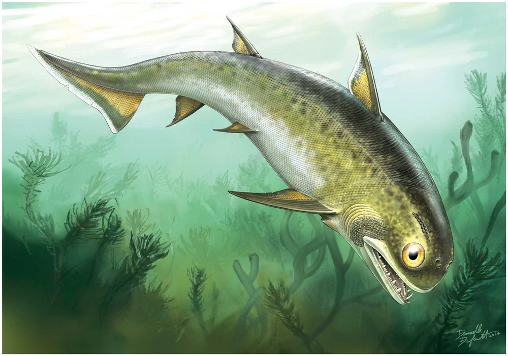 Vanished Worlds: The Smithsonian Fossil Dioramas at PRI ...