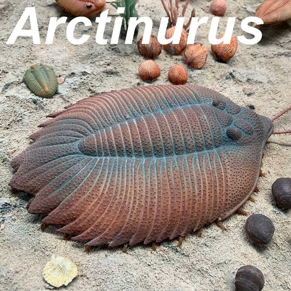 Arctinurus-1000px.jpg