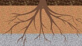 Critical Zone Observatories Education Resources