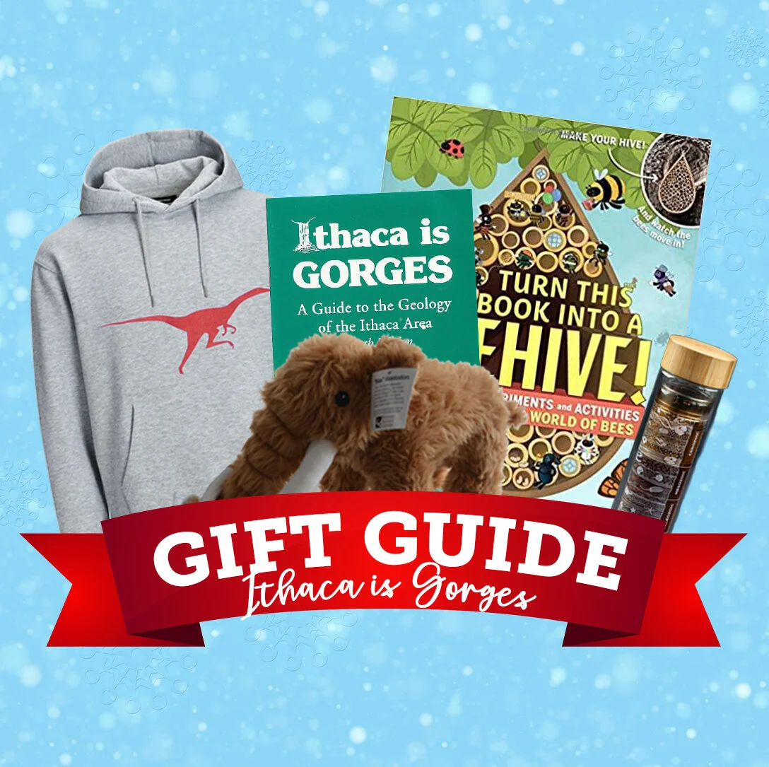 Holiday Gift Guides: Ithaca is Gorges