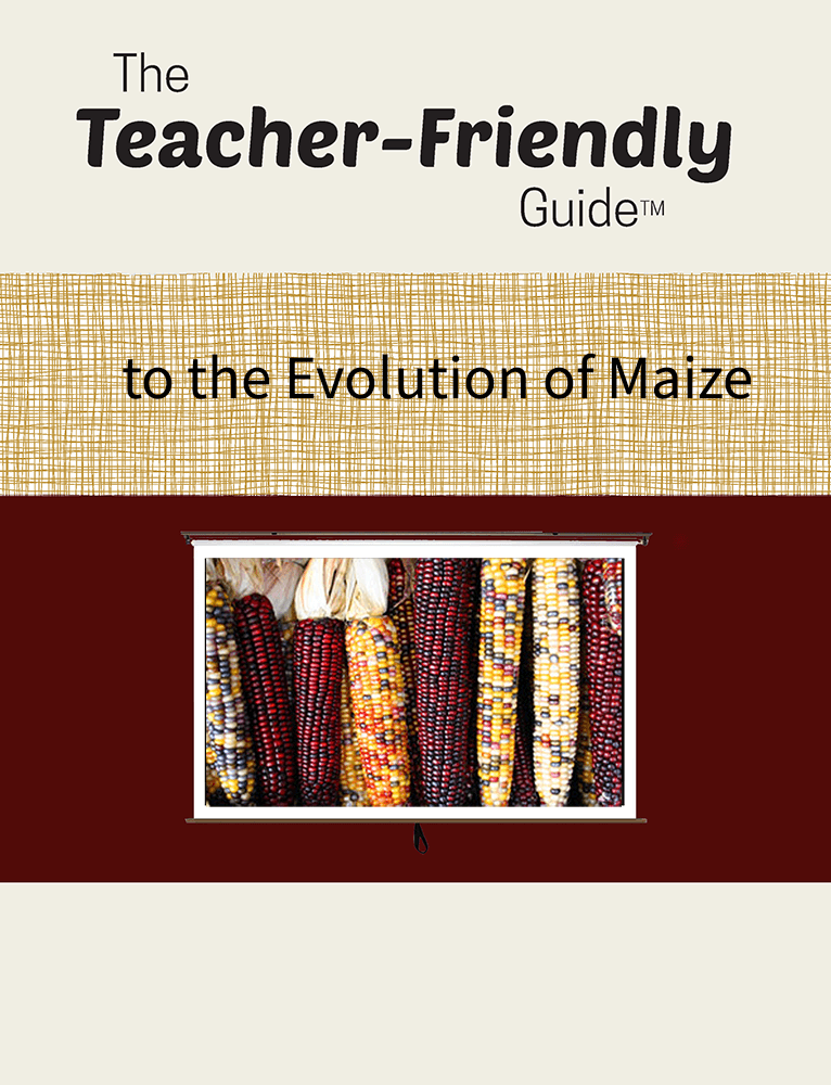 The Teacher-Friendly Guide to the Evolution of Maize