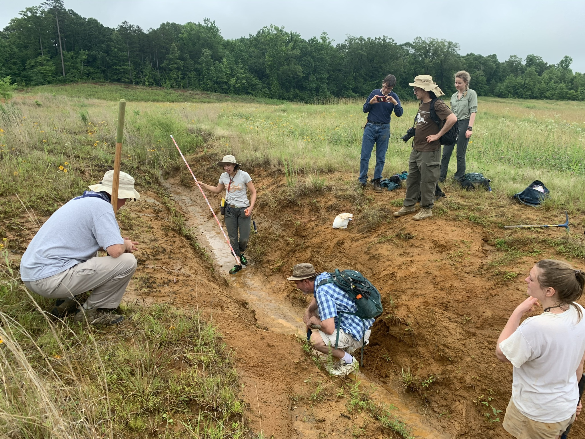 In Search of the Last Cretaceous Turritellid Gastropod, and the Aftermath 