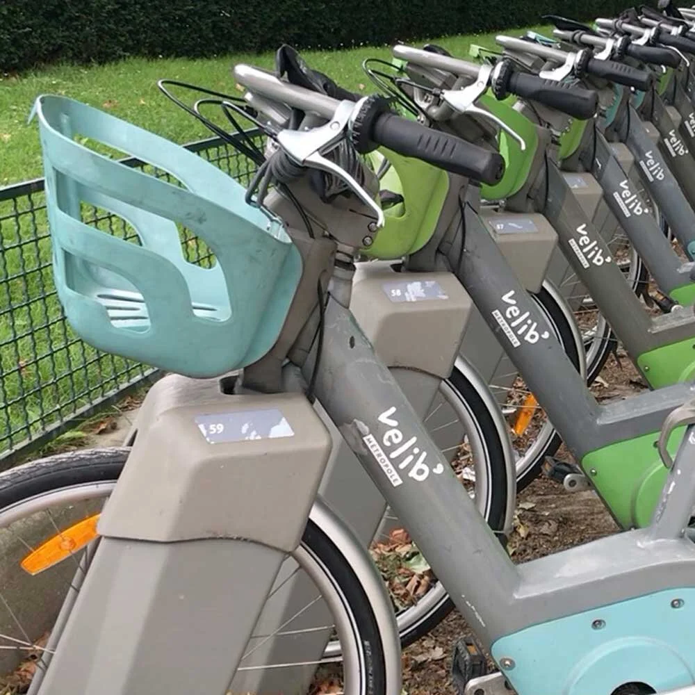 Take Action on Climate: Educate, Communicate, Mitigate, Adapt