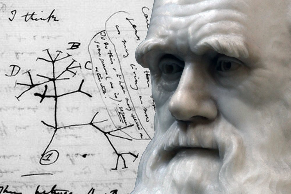 Covid 19 and Survival of the fittest( Charles Darwin)