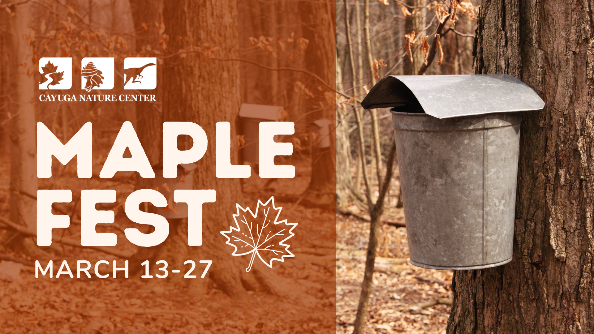 Maple Fest