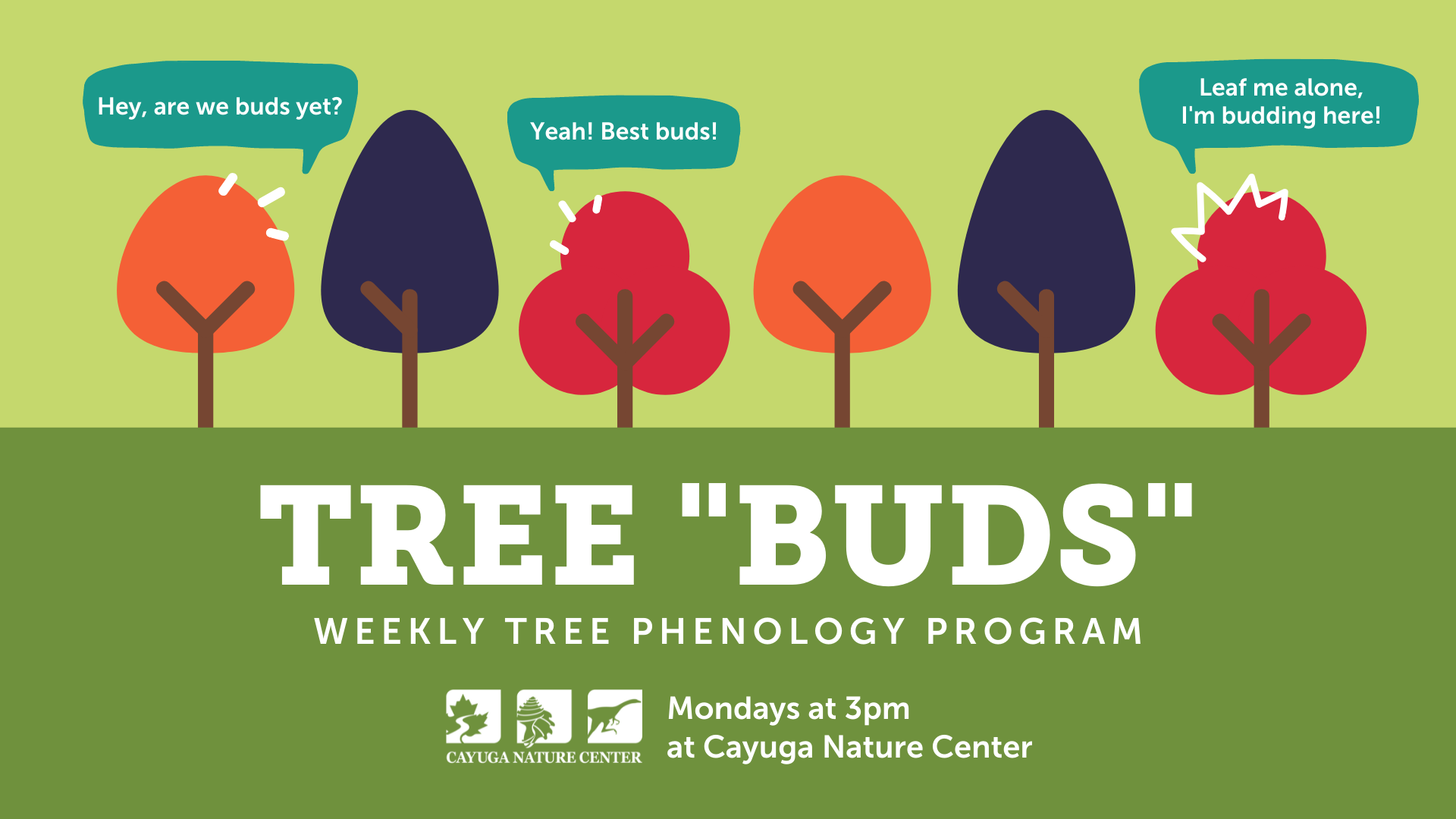 Tree Phenology program.png