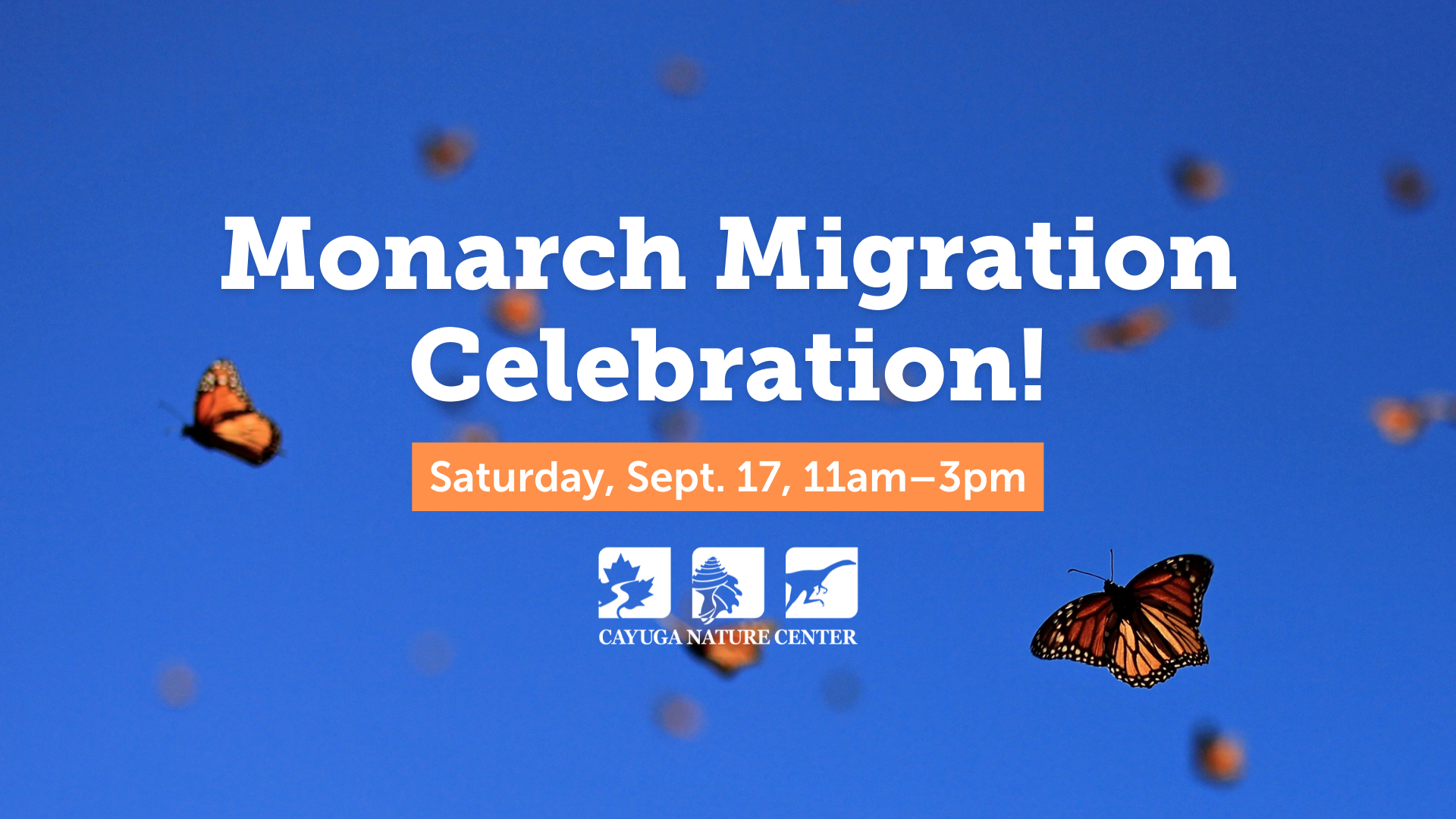 Monarch Migration Celebration_EzYp.png