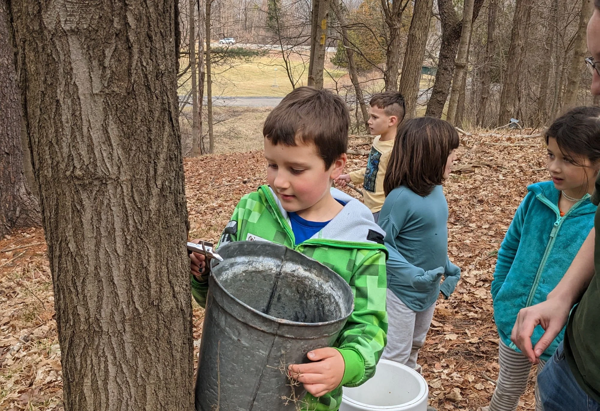 Warm, Weird, Wonderful, Worrisome—What to Make of a Warm Spell in February