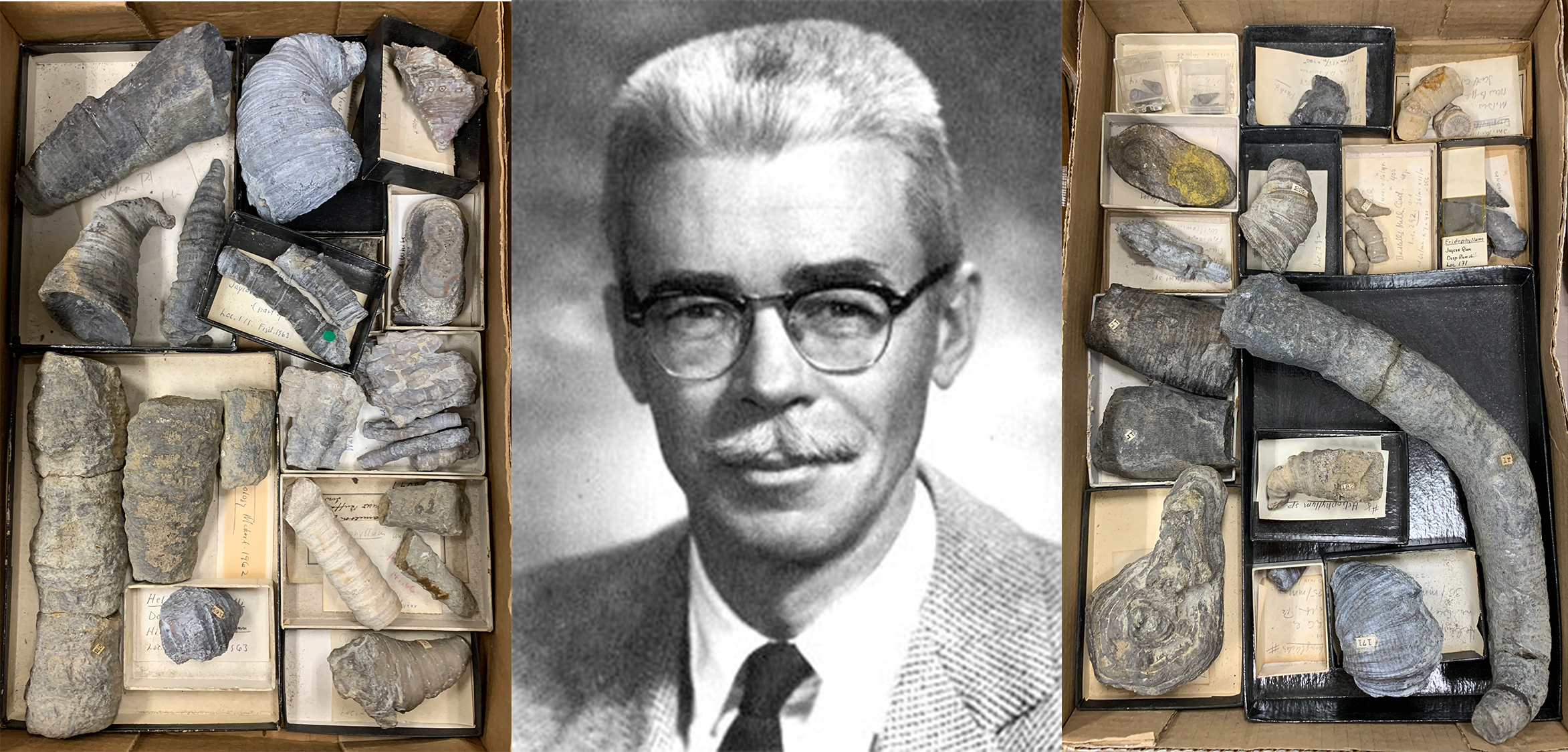 John W. Wells &amp; Coral Geochronometry