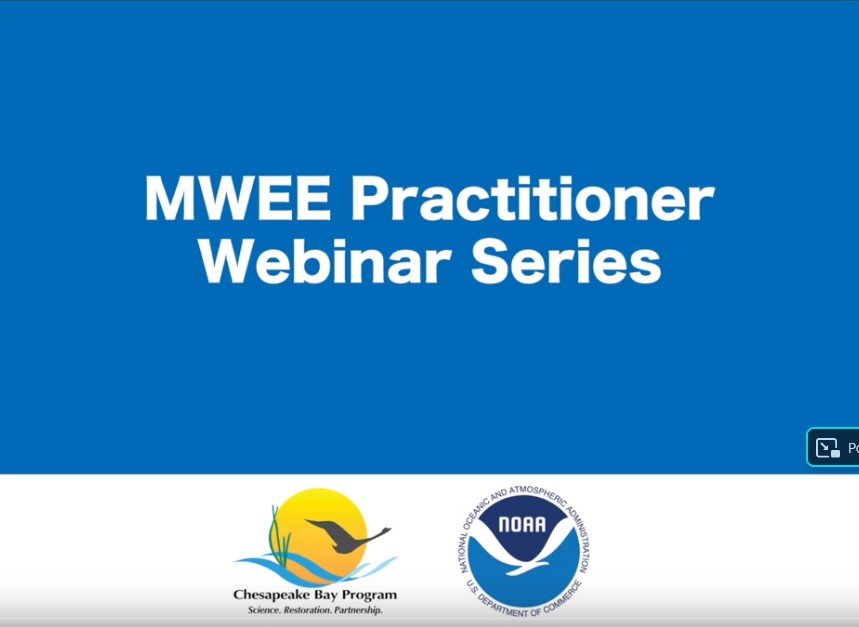 MWEE Practitioner Webinar Series