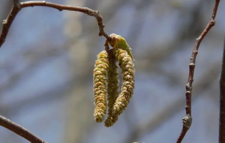 Citizen Science and Tracking Climate in Your Backyard