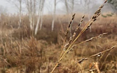 Climate Change in Central New York
