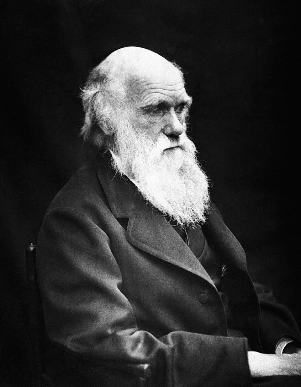 Ithaca Darwin Days at 20