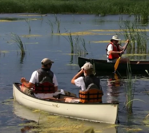 What’s up with Wetlands: Exploring the Relationship Between Wetlands, Humans, and Climate Change