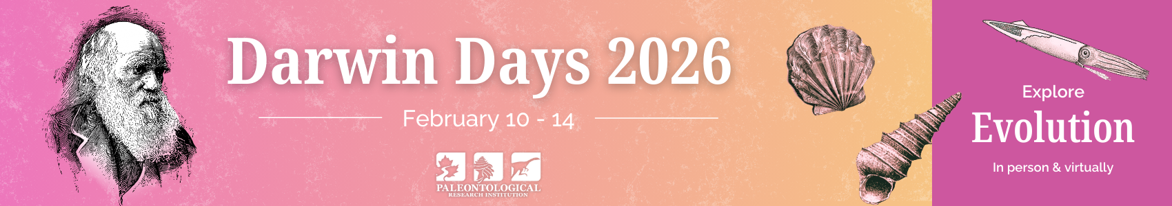 DD 2026 Website Banner.png