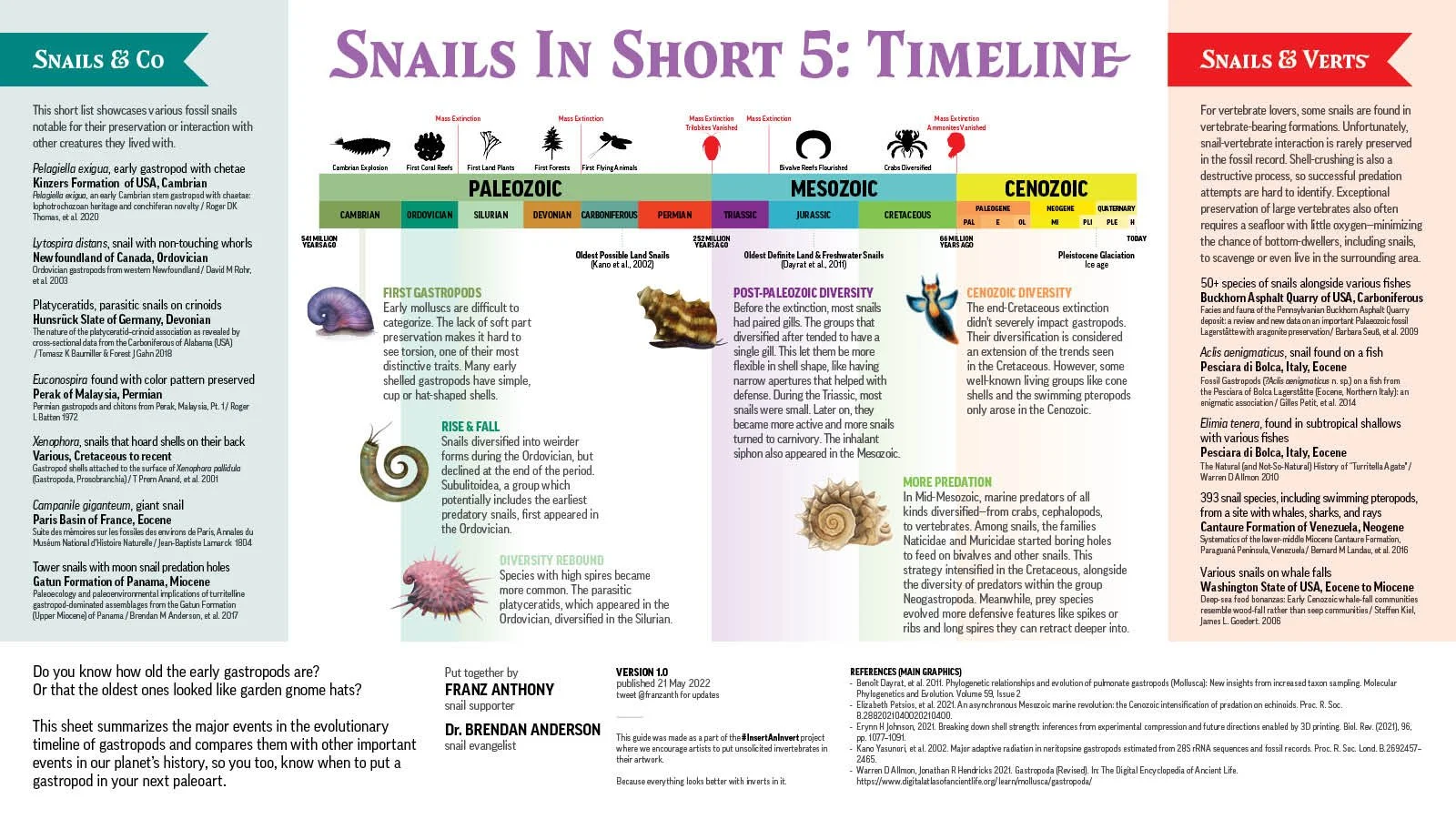 Infographic about the evolutionary history of snails.