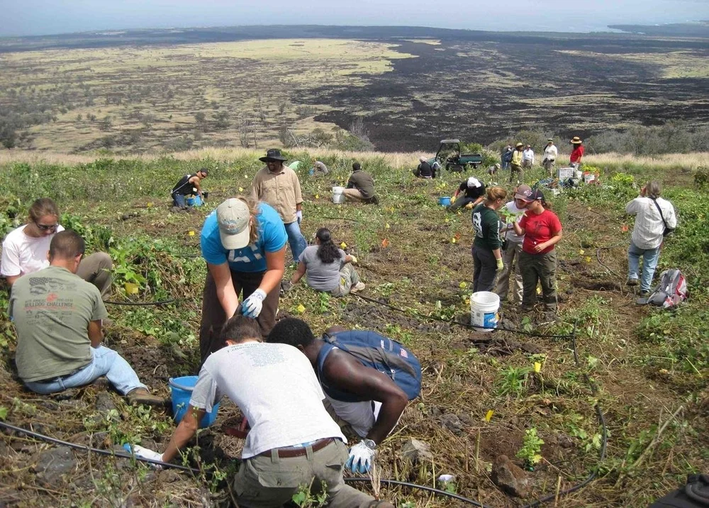 Hawai`i Wildfires At the Intersection of Climate Change and