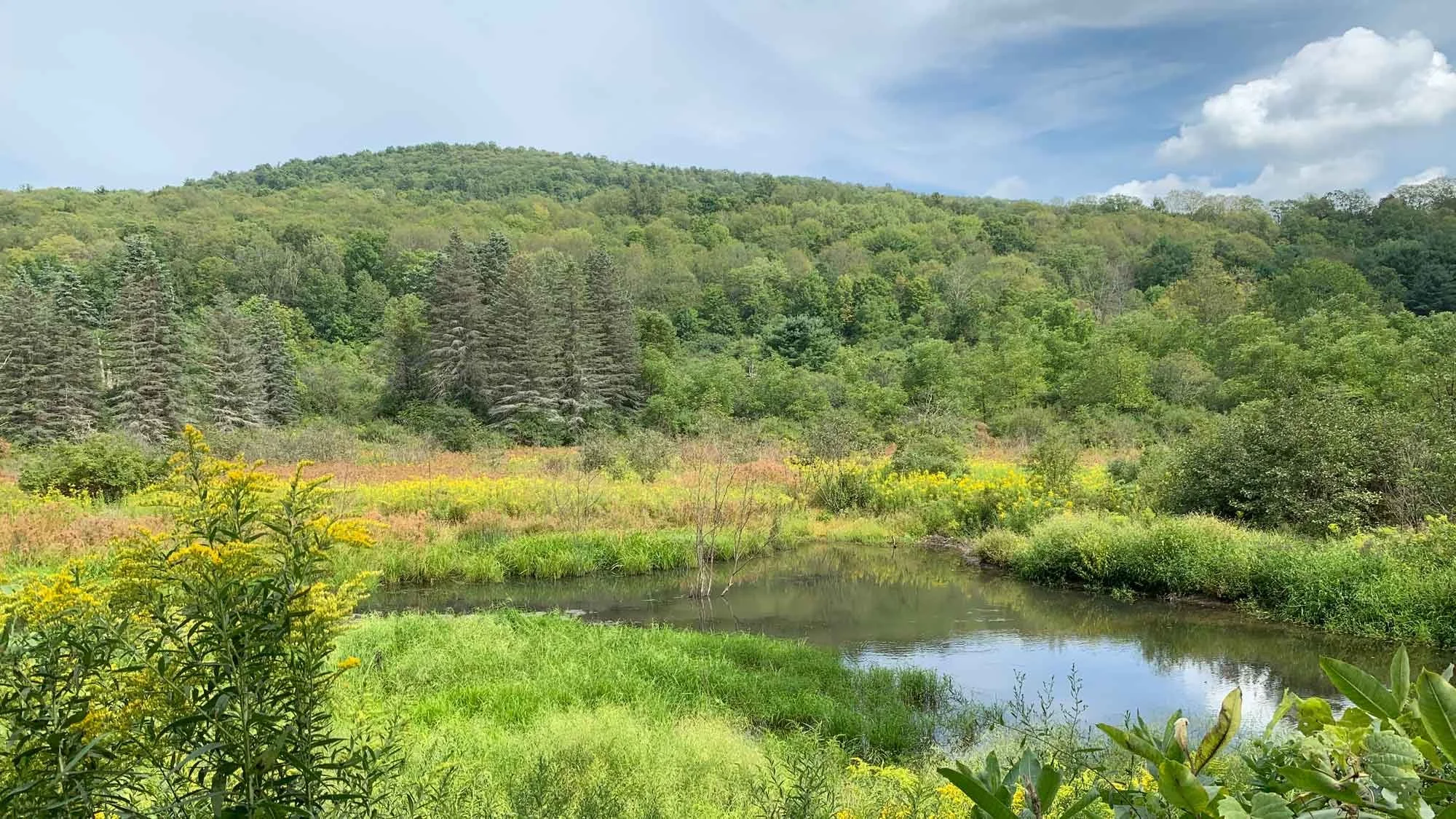 We need to support climate change education because it works!