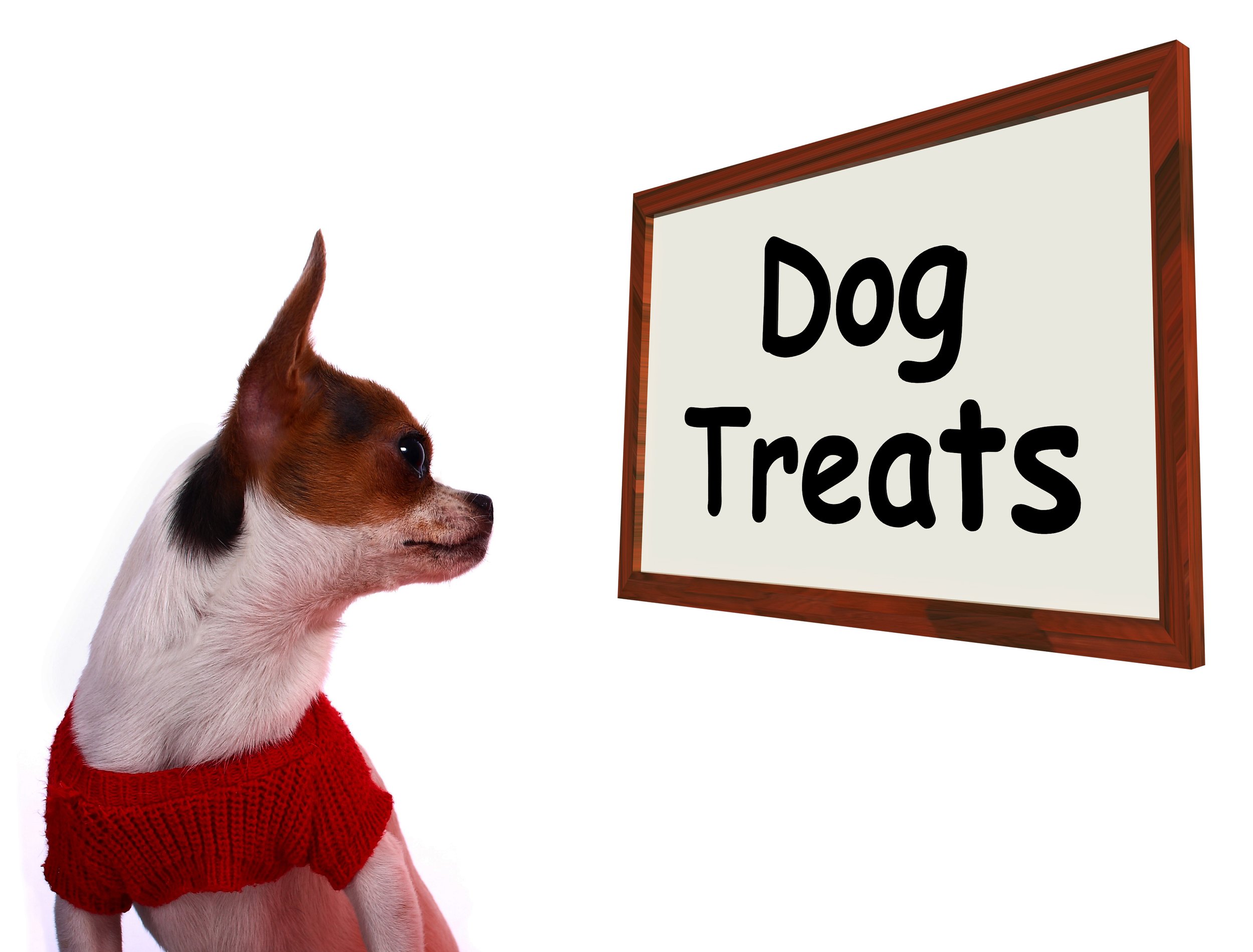 dog-treats-sign-showing-canine-rewards-or-snacks-SBI-300186295.jpg