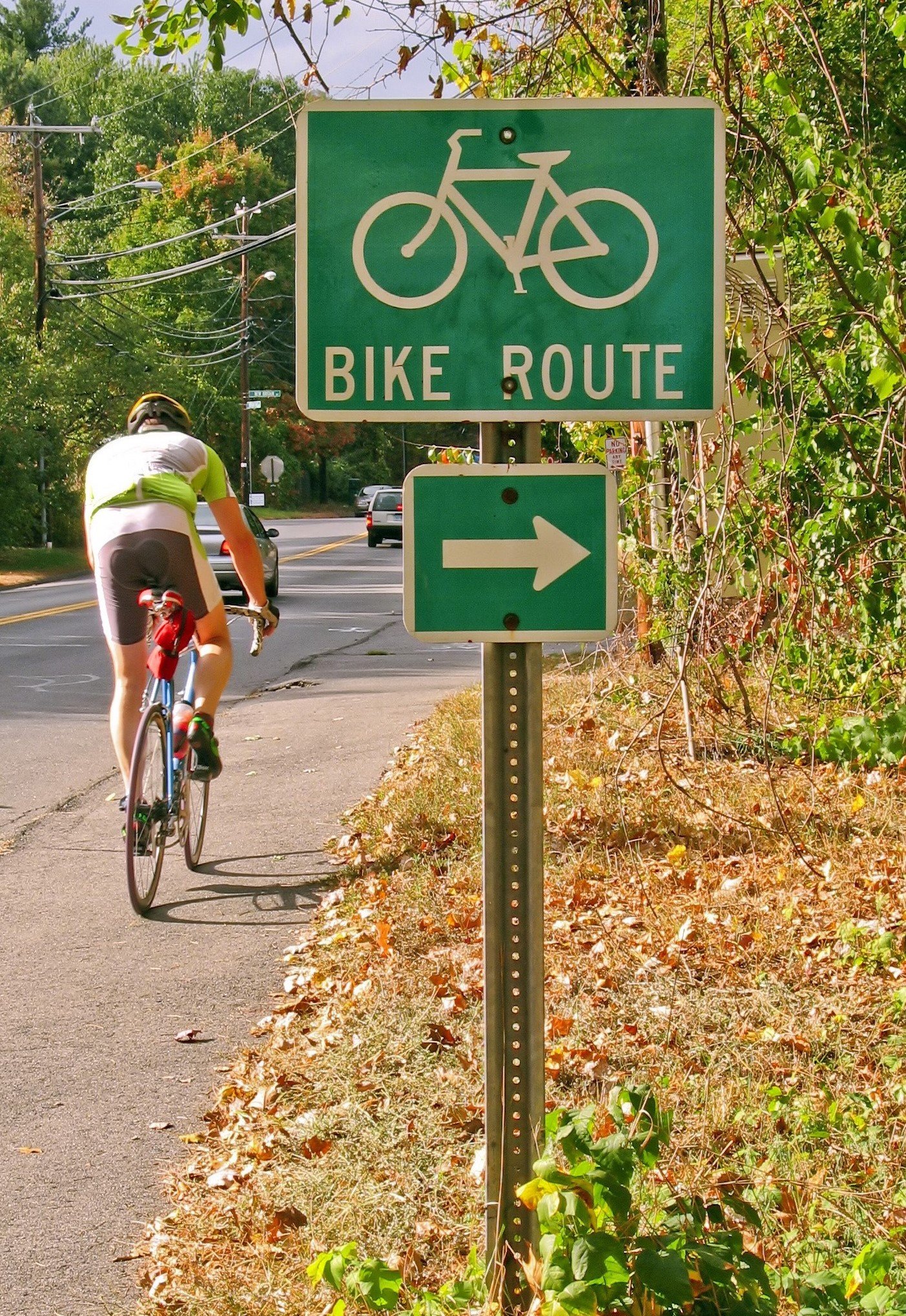 a-green-bike-route-sign-on-the-side-of-the-road-edited.jpg
