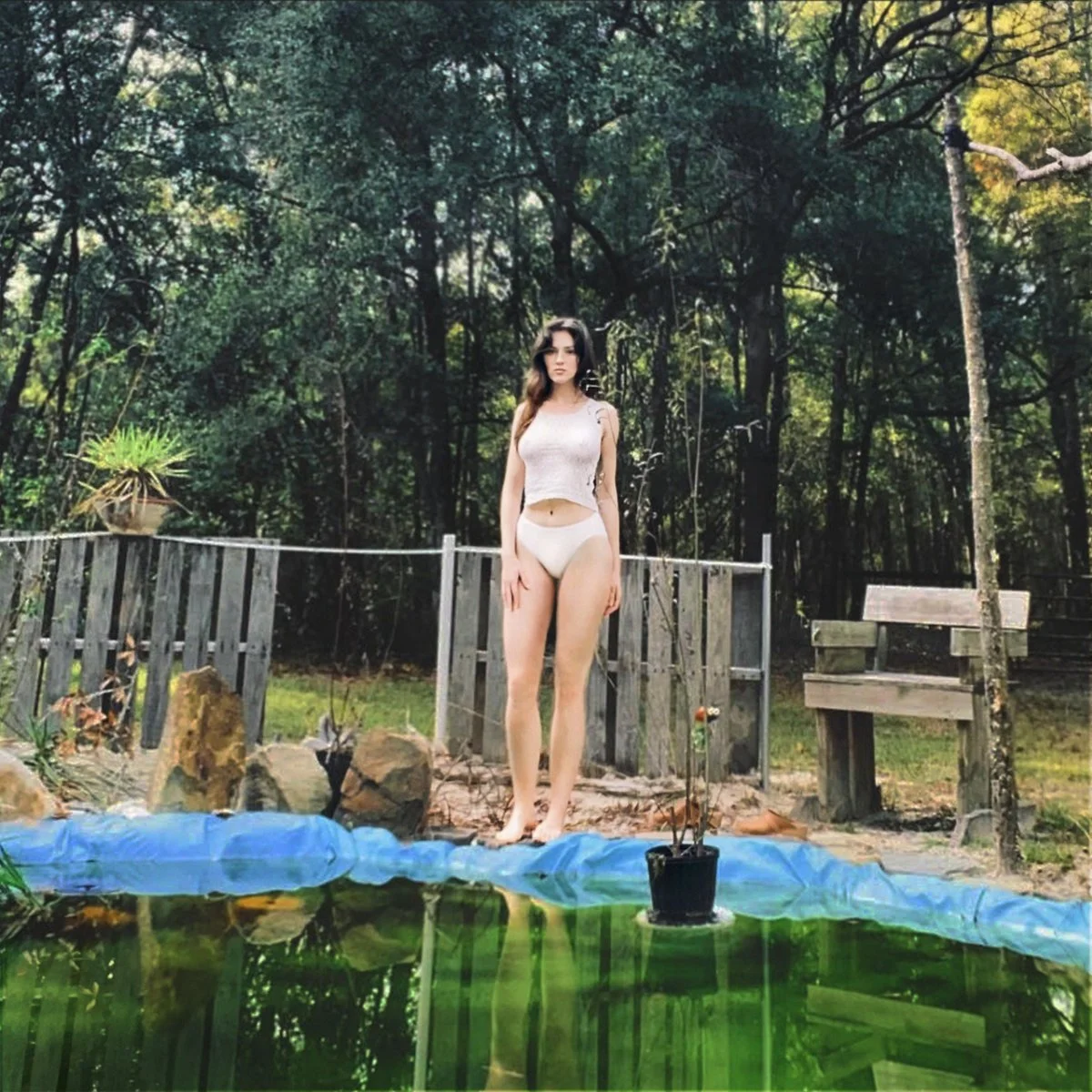 Strawberry Runners / Dalima Kapten / June Henry