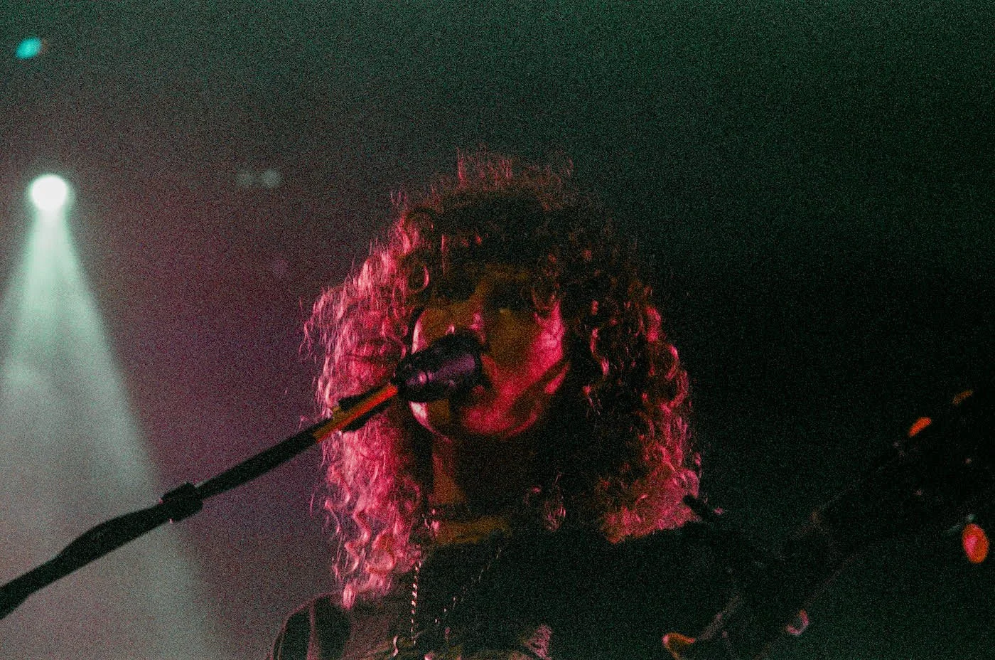 Squirrel Flower at White Schoolhouse