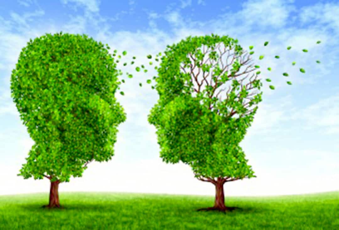 From BrainWorld. September 19, 2012