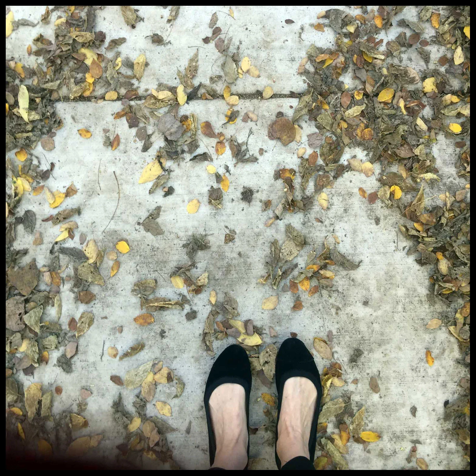 Photo: Diane G. Wilson Grounding
