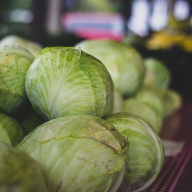 Soooo the idea of buying something from the farmers market is good! But I didn&rsquo;t have cash on me. Whoops! I would of picked up these awesome cabbages, maybe next time! What would you cook with these cabbages?
#cabbage #farmersmarket #farmtoplat