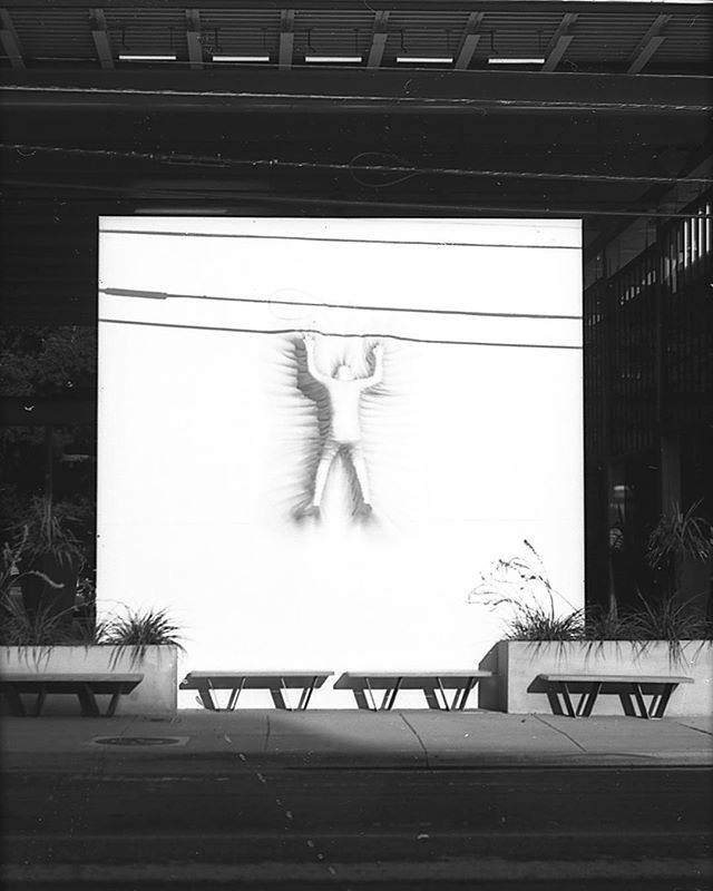 hang in there :).
.
.
photo dev @caffenol.co .
.
.
.
#dfw #dallasphotographer #dallasfilm #dallas #deepellum #film #konica #halfframe #nofilter #tmax #kodak #35mmfilm #analogphotography #analog #filmisnotdead #buyfilmnotmegapixels #filmshooters #stay