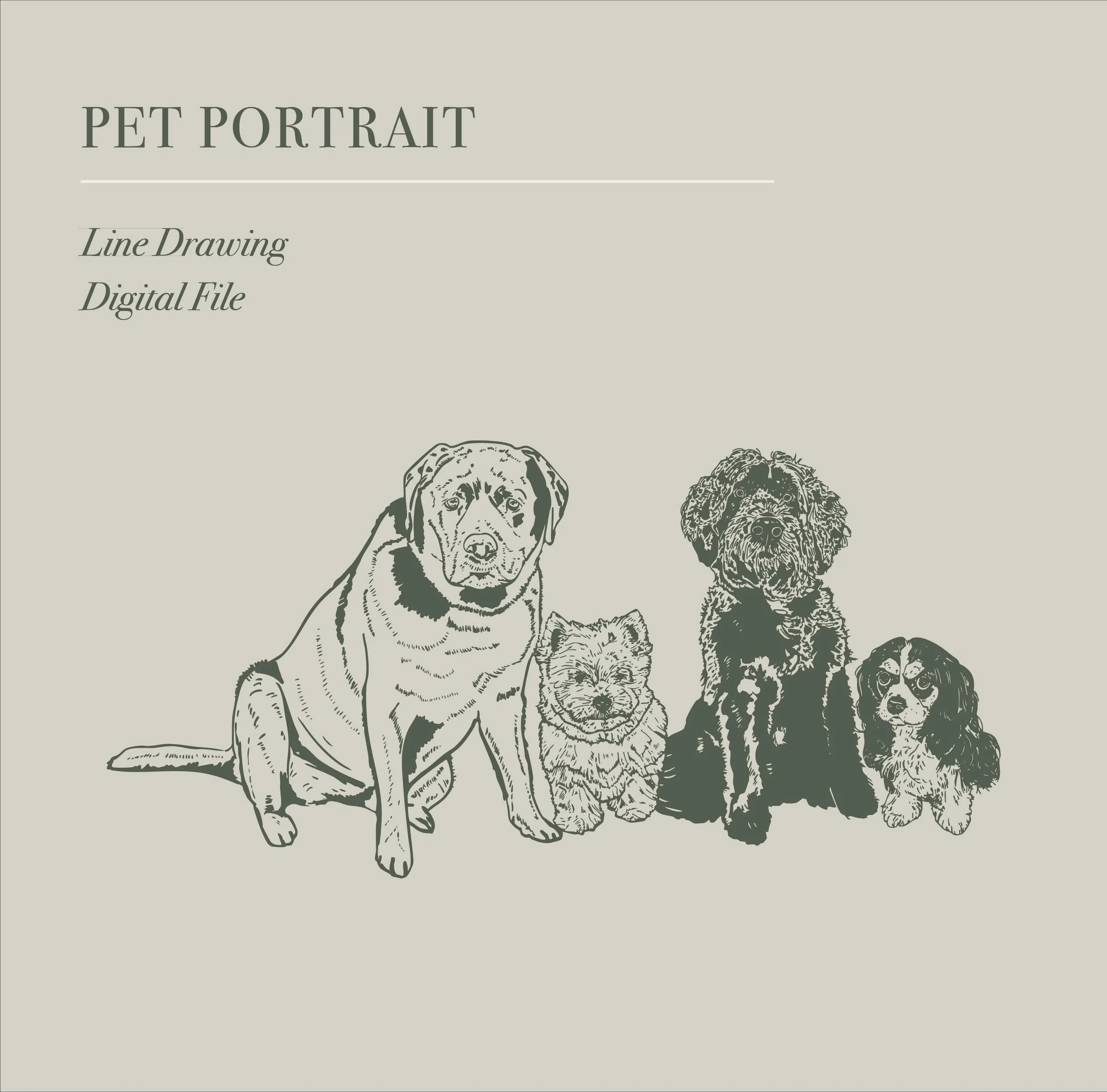 Pet portraits are live, let&rsquo;s draw some pups! Link in bio.

#petportrait #customillustration #stationerydesign #linedrawing #dogloversofinstagram