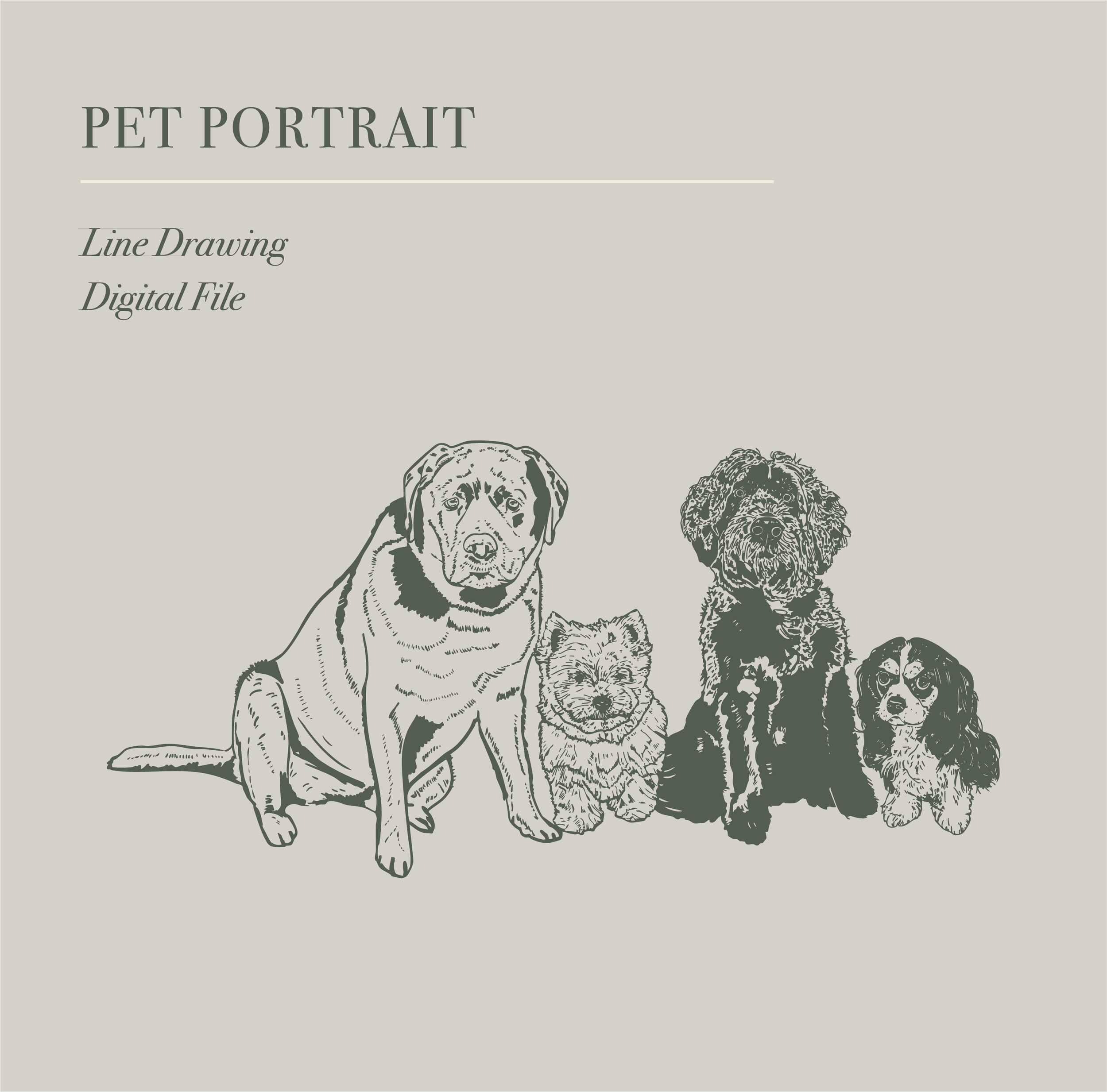 Custom Pet Illustration Service