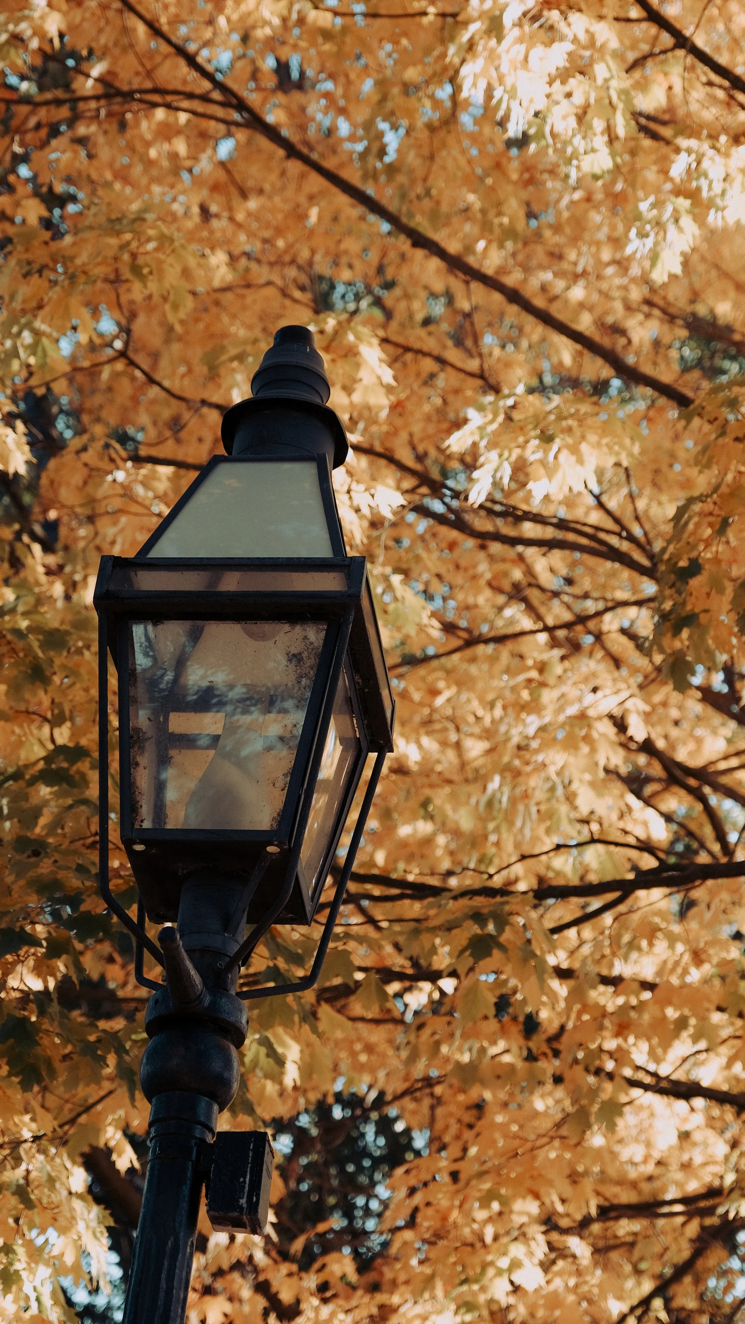 October Daily Prayer