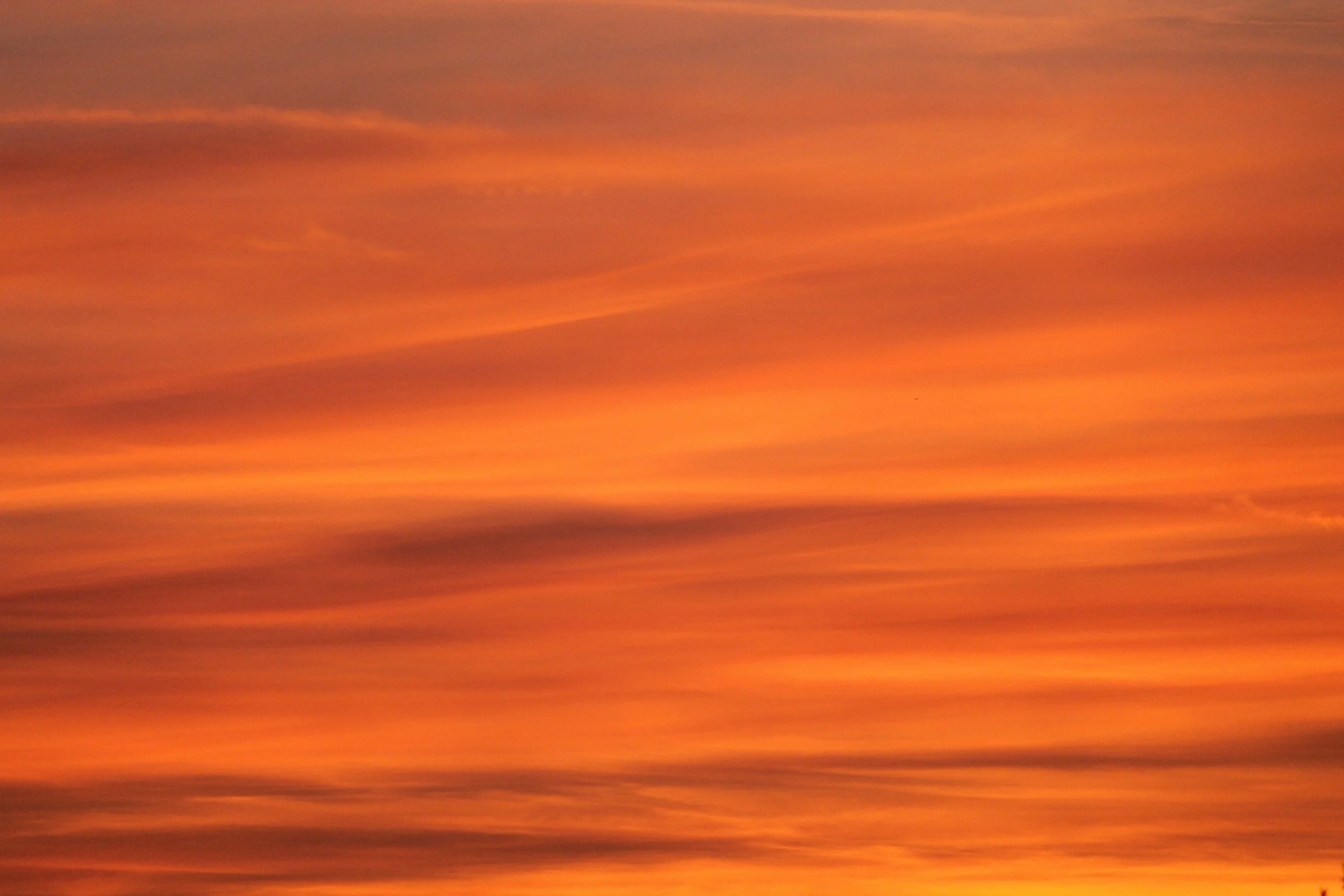 unsplash-image-y6NyYpl89JM.jpg