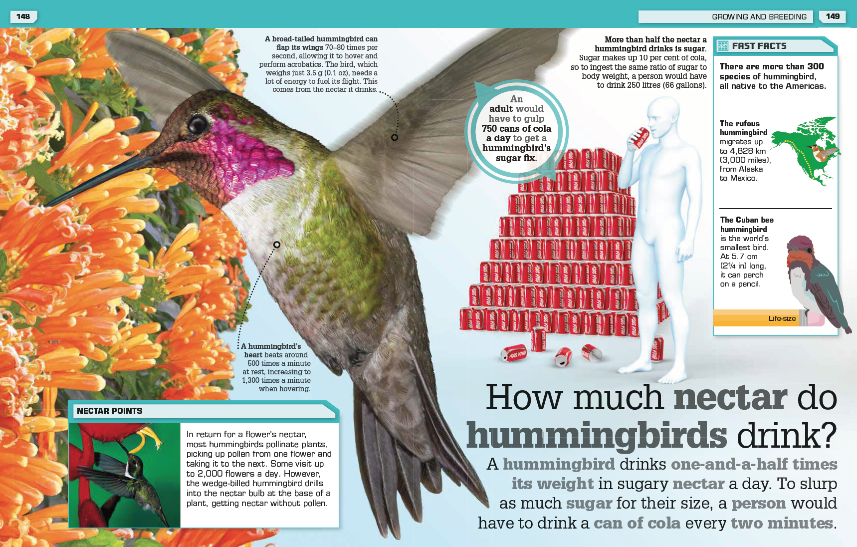 Screenshot 2021-08-13 at 10.14.54.png