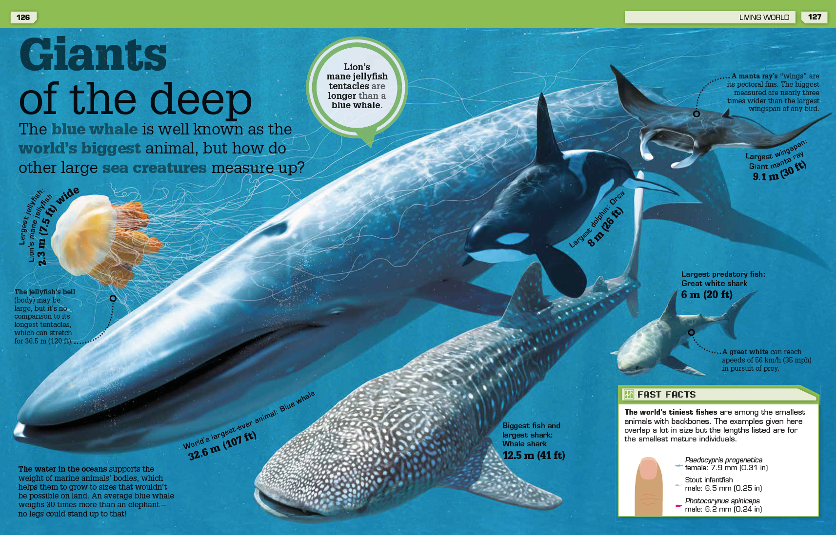 Screenshot 2021-08-13 at 14.00.42.png