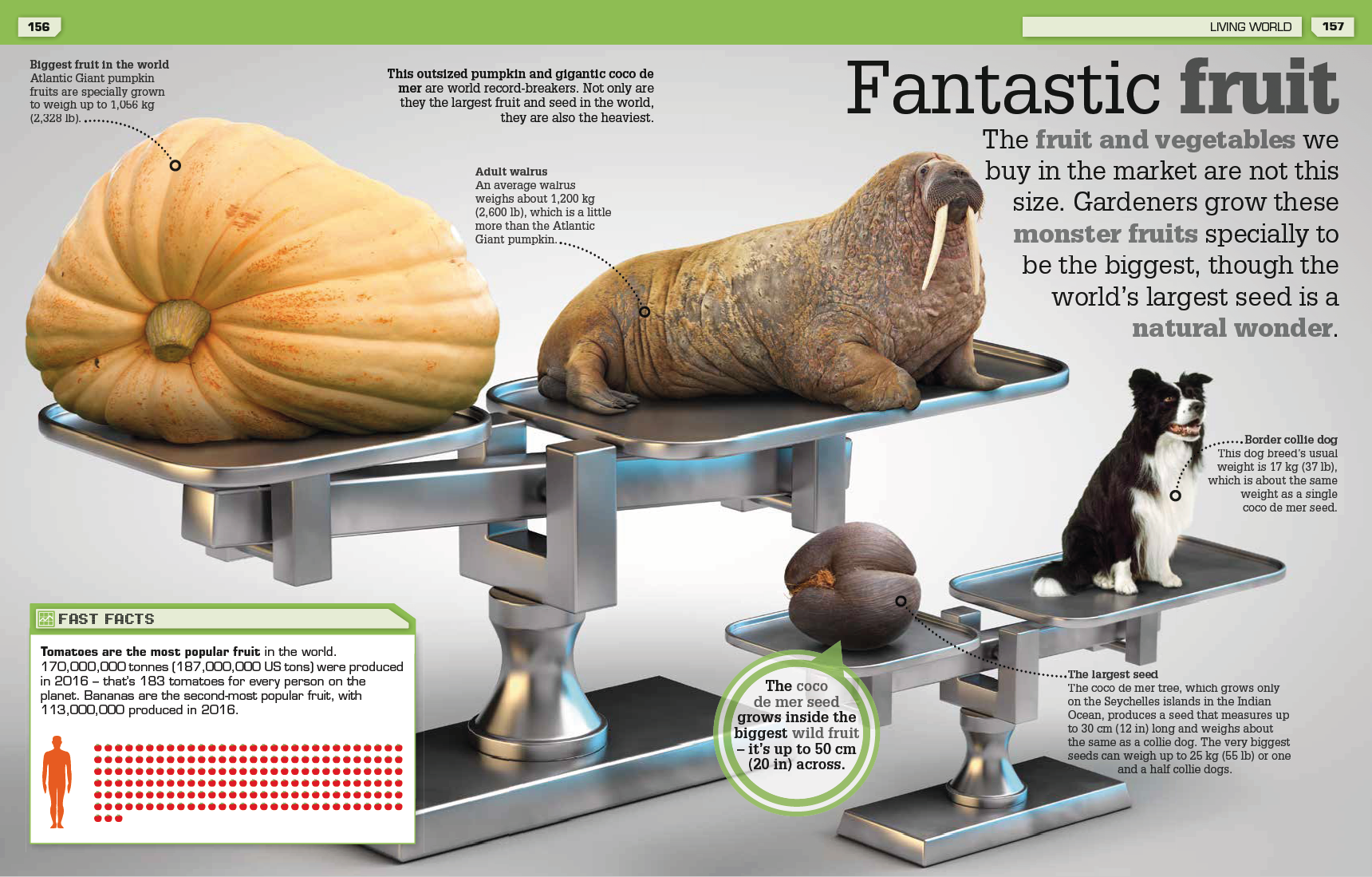 Screenshot 2021-08-13 at 14.01.04.png