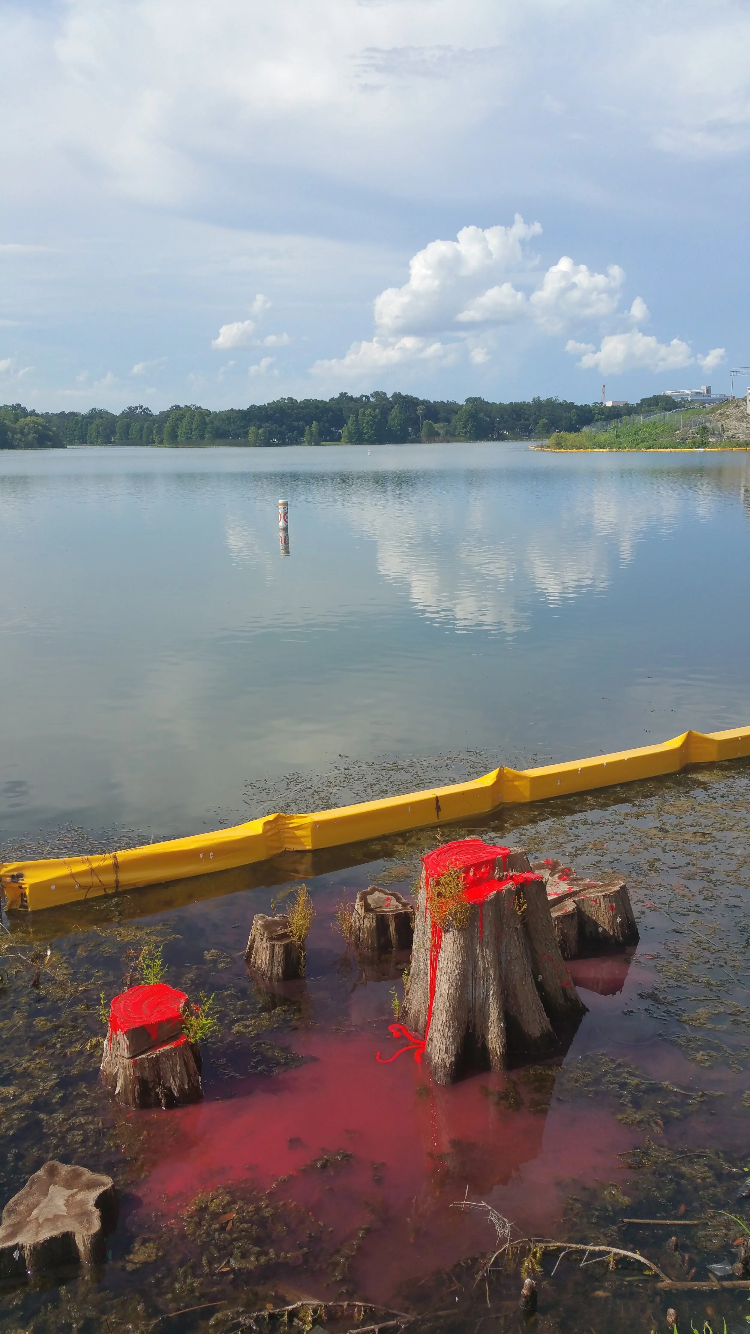 20150626_165929.jpg