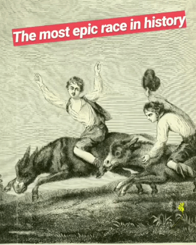 The most epic race in history has donkeys