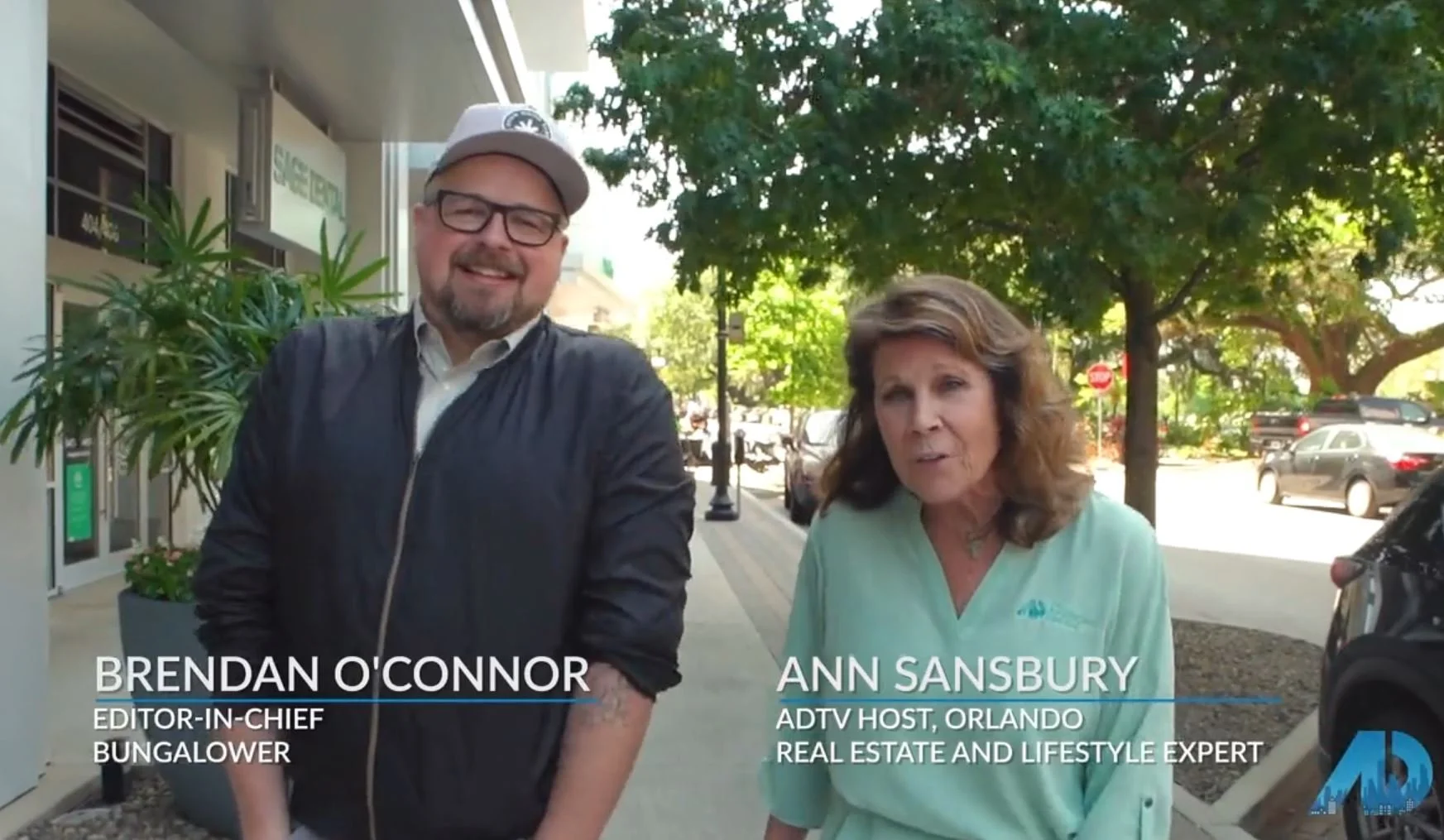 Living The American Dream (TV)