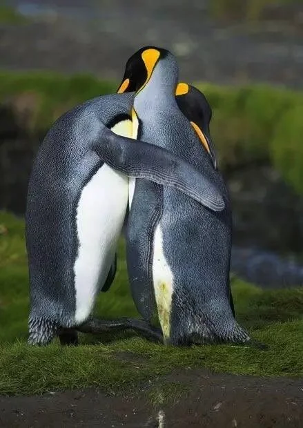 Image 2-3-17 at 10.41 PM.jpg