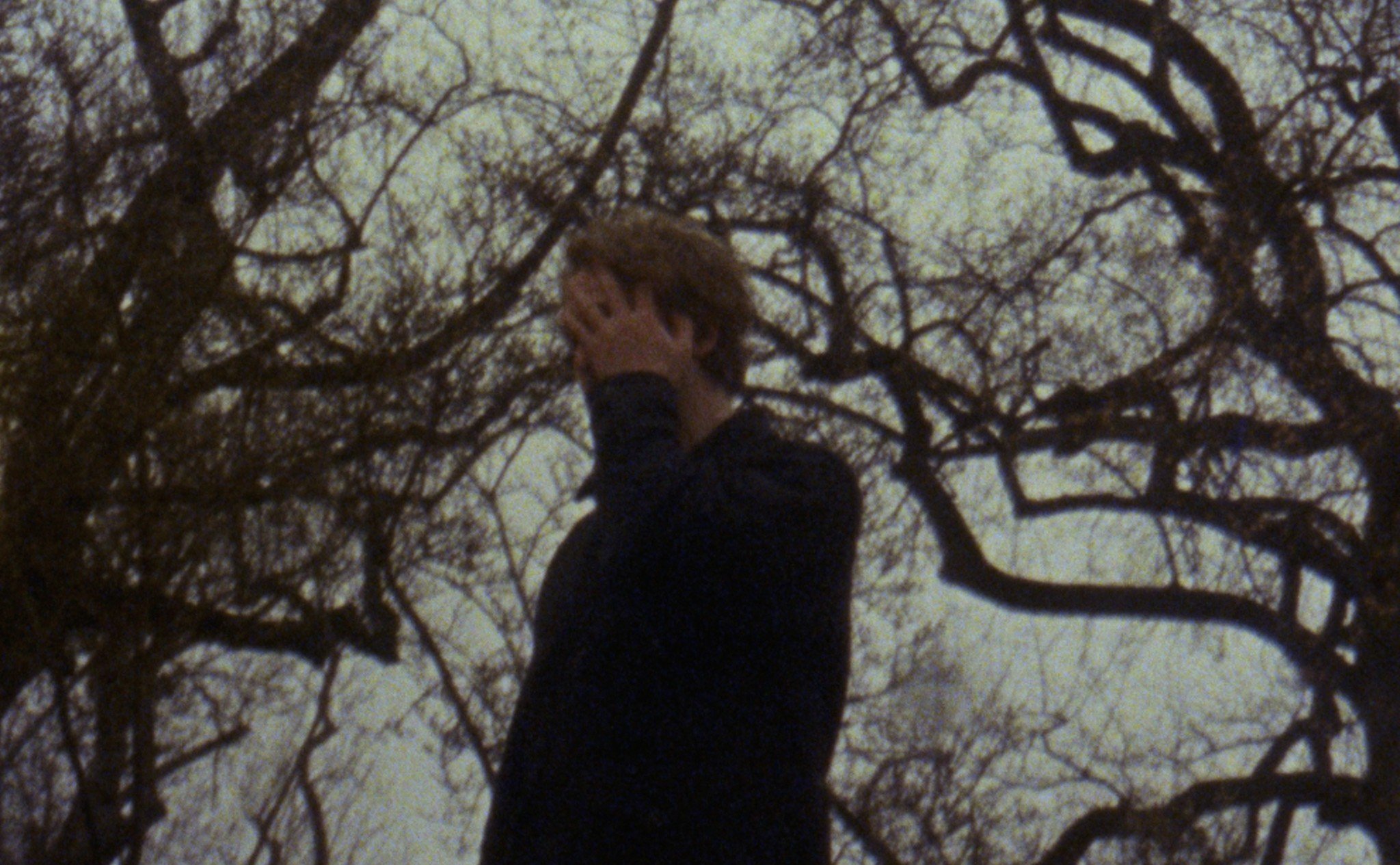 Screen Shot 2025-07-20 at 4.17.21 PM (1).jpg