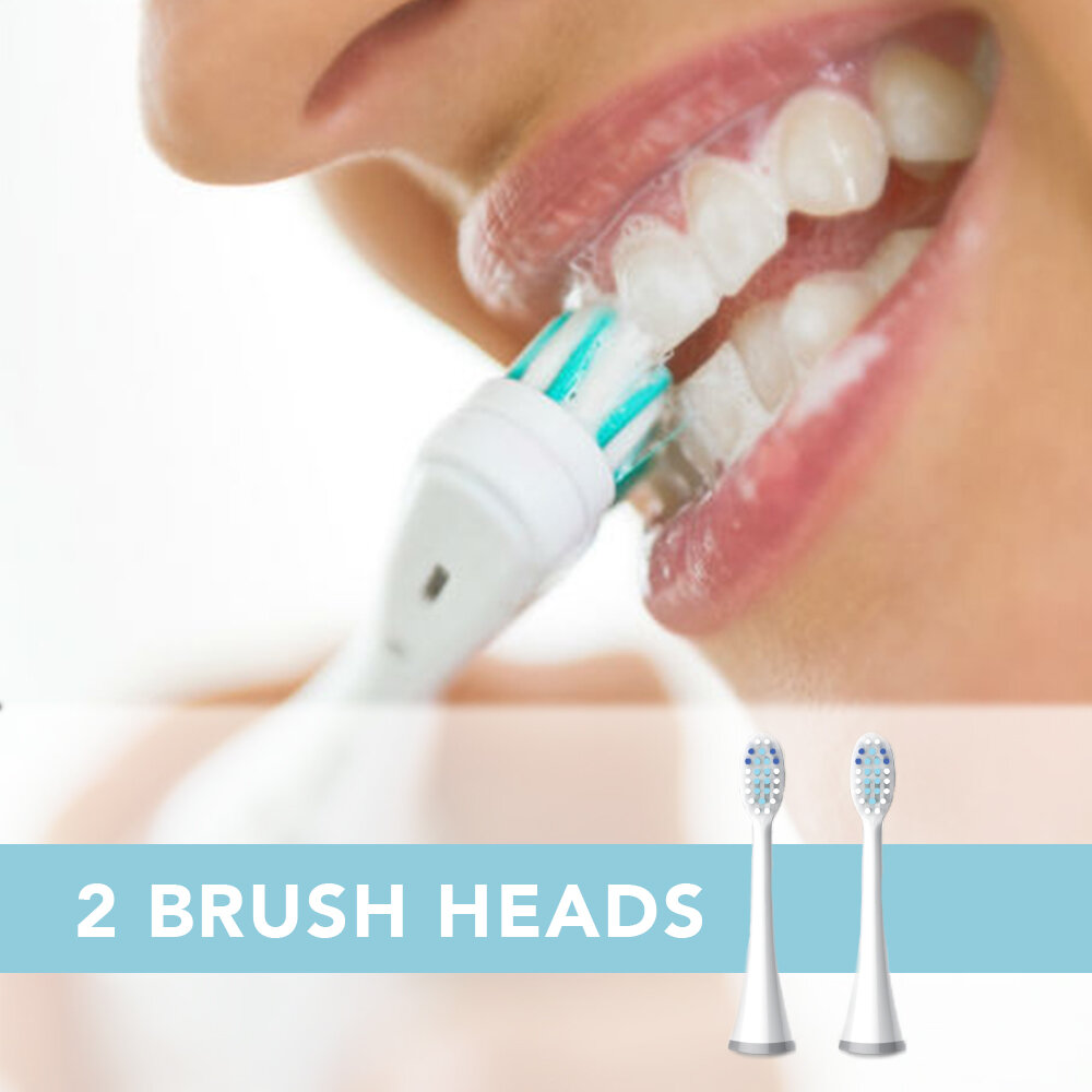 6BROOKDALE_TOOTHBRUSH.jpg