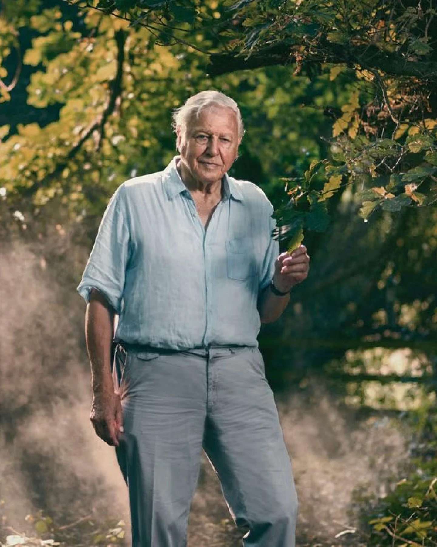Sir David Attenborough: &ldquo;Wood is an extraordinary renewable resource, and taking it from well-managed sources benefits forests and the planet.&rdquo;

Deze woorden raken precies de kern van wat wij bij Element Buildings nastreven. 

Onze planee