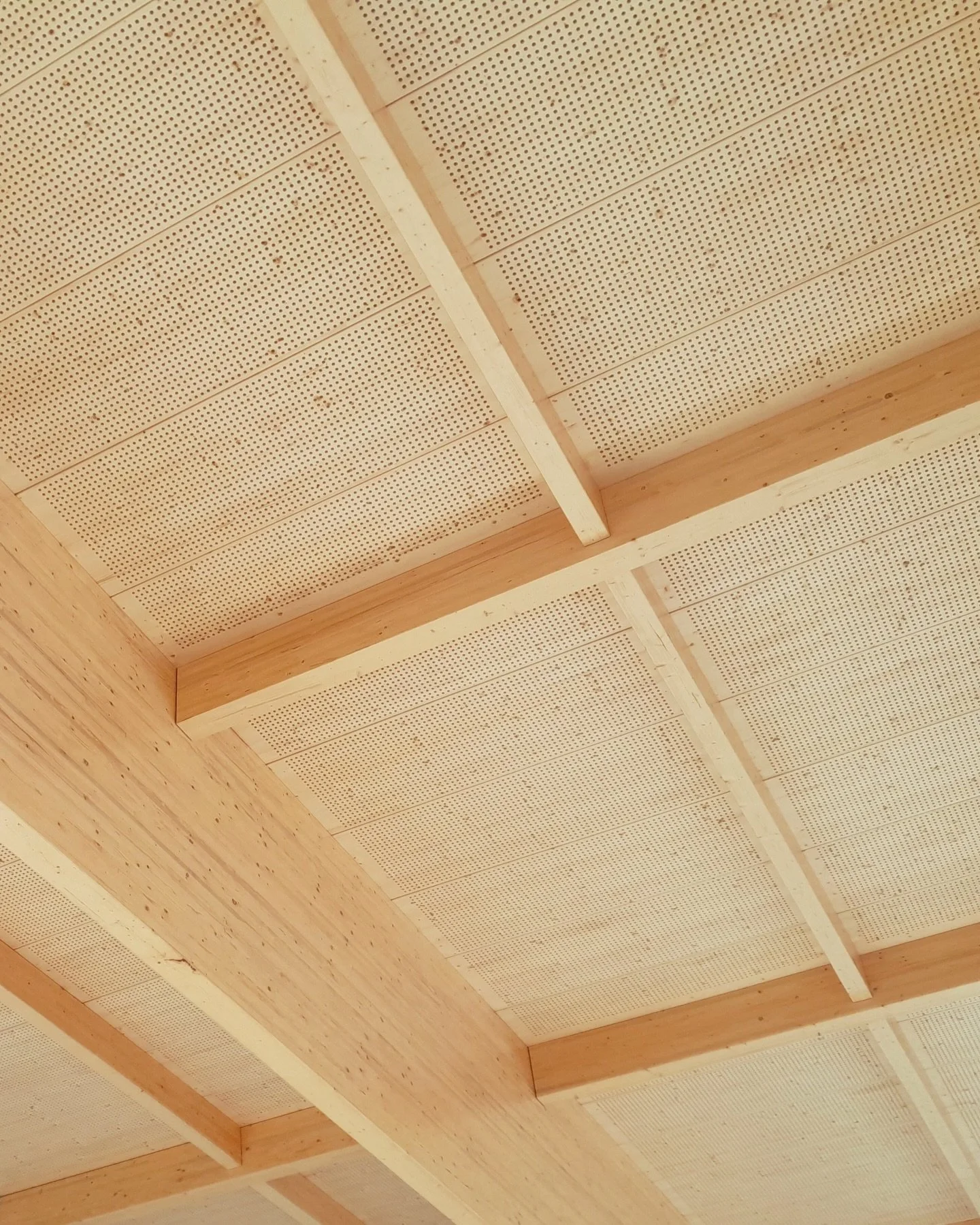 Naast onze CLT-panelen werken wij ook met LIGNATUR: houten kanaalplaatvloeren met een holle kern. Deze vloeren zijn uitermate geschikt voor grote overspanningen binnen de utiliteitsbouw, zoals sportcomplexen en andere openbare gebouwen.

De voordelen