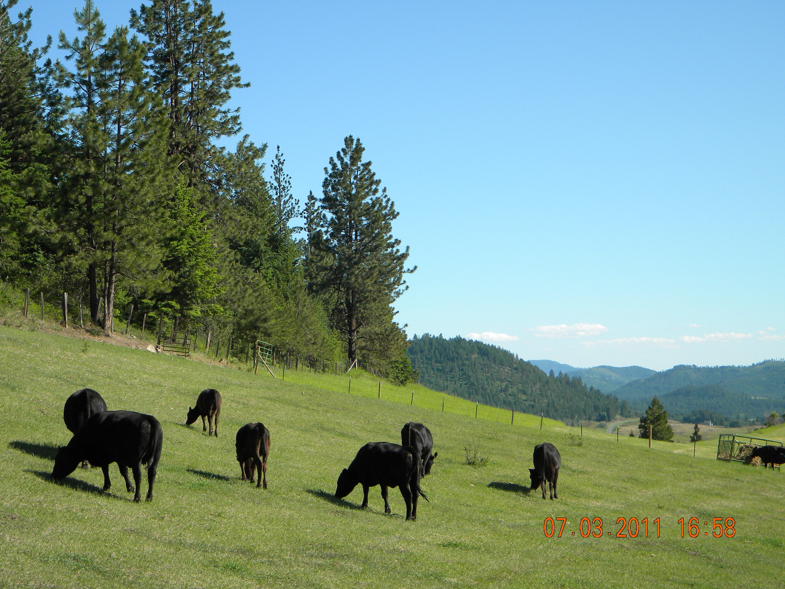 DSCN0856.JPG