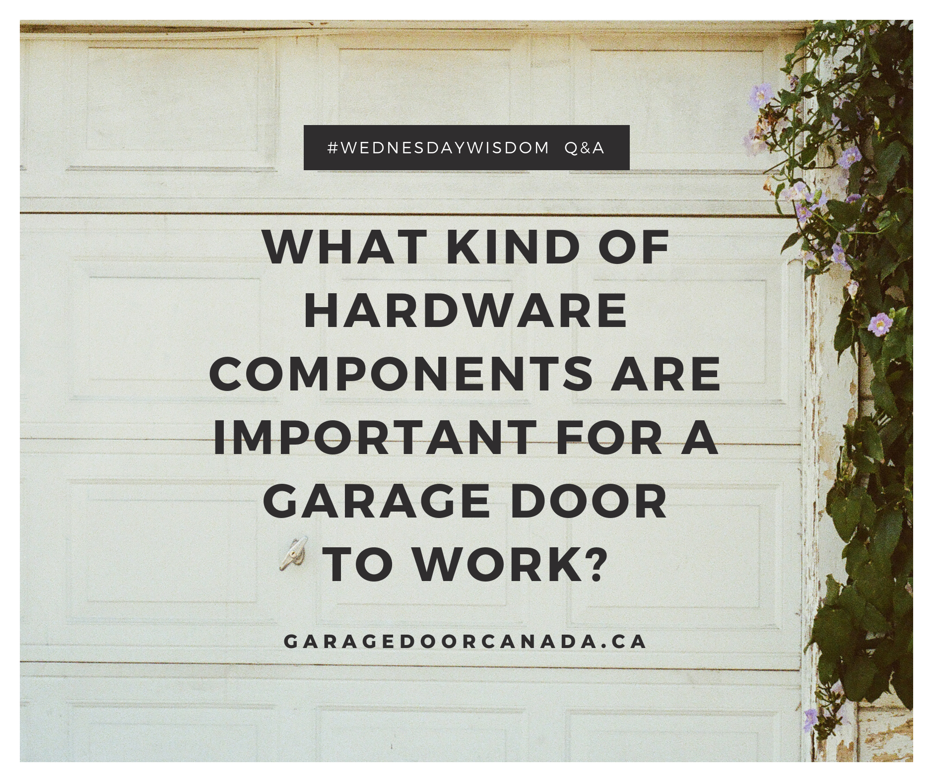Wednesday Wisdom (090419).png