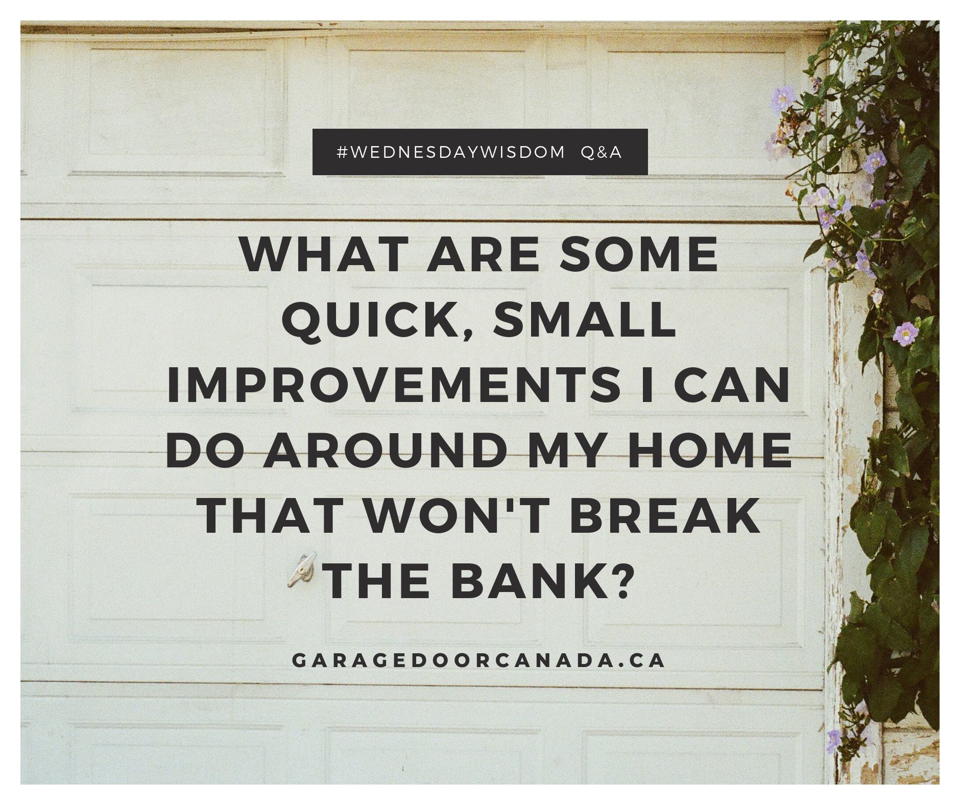 Wednesday Wisdom (100919).png