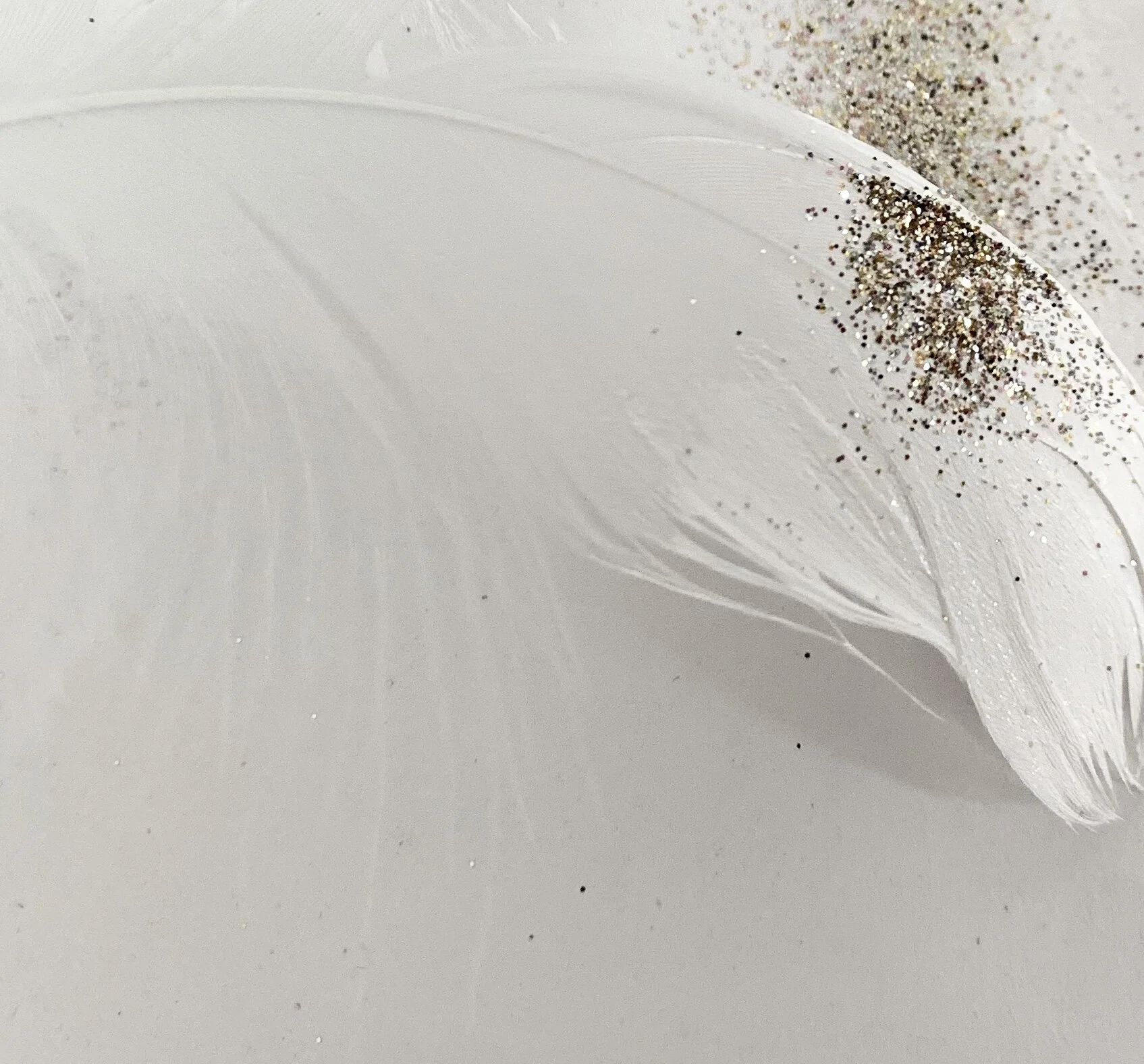 feather with gold glitter.JPG